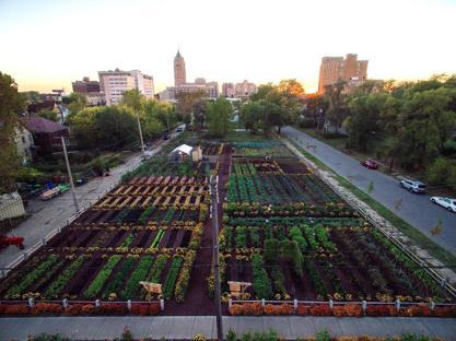 Michigan Urban Farming Initiat background image