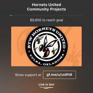 Hornets United, INC background image