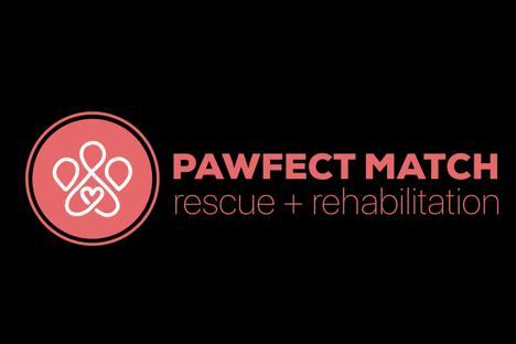Paw-Fect Match Rescue and Rehabilitation background image