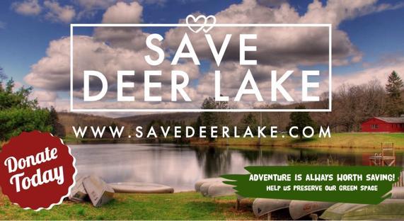 Save Deer Lake background image