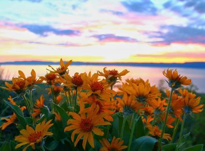 Bear Lake Watch background image