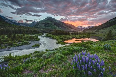 Coal Creek Watershed Coalition background image